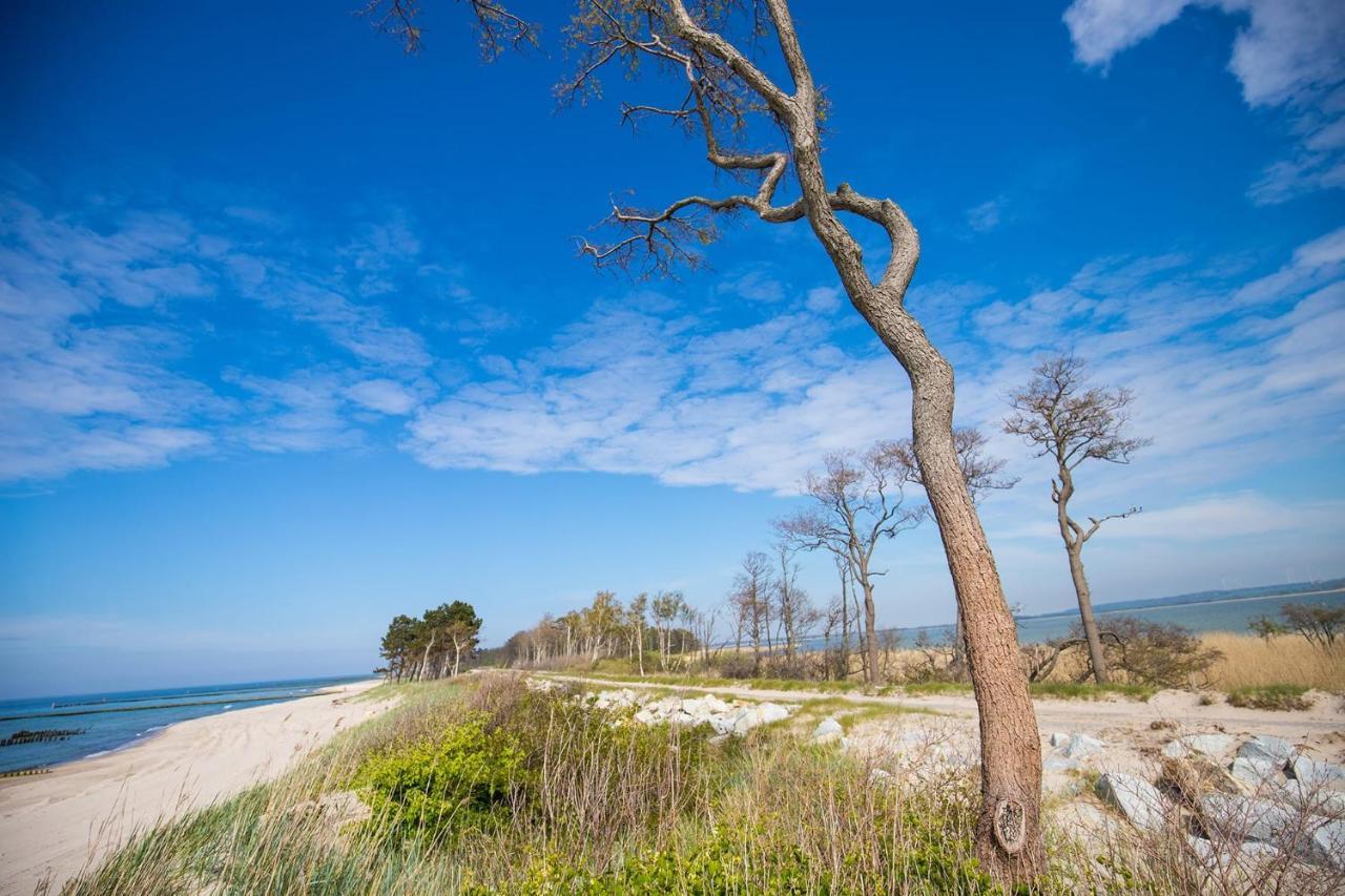 Nalu Glamp Hotel Ujście-Darłowskie Buitenkant foto